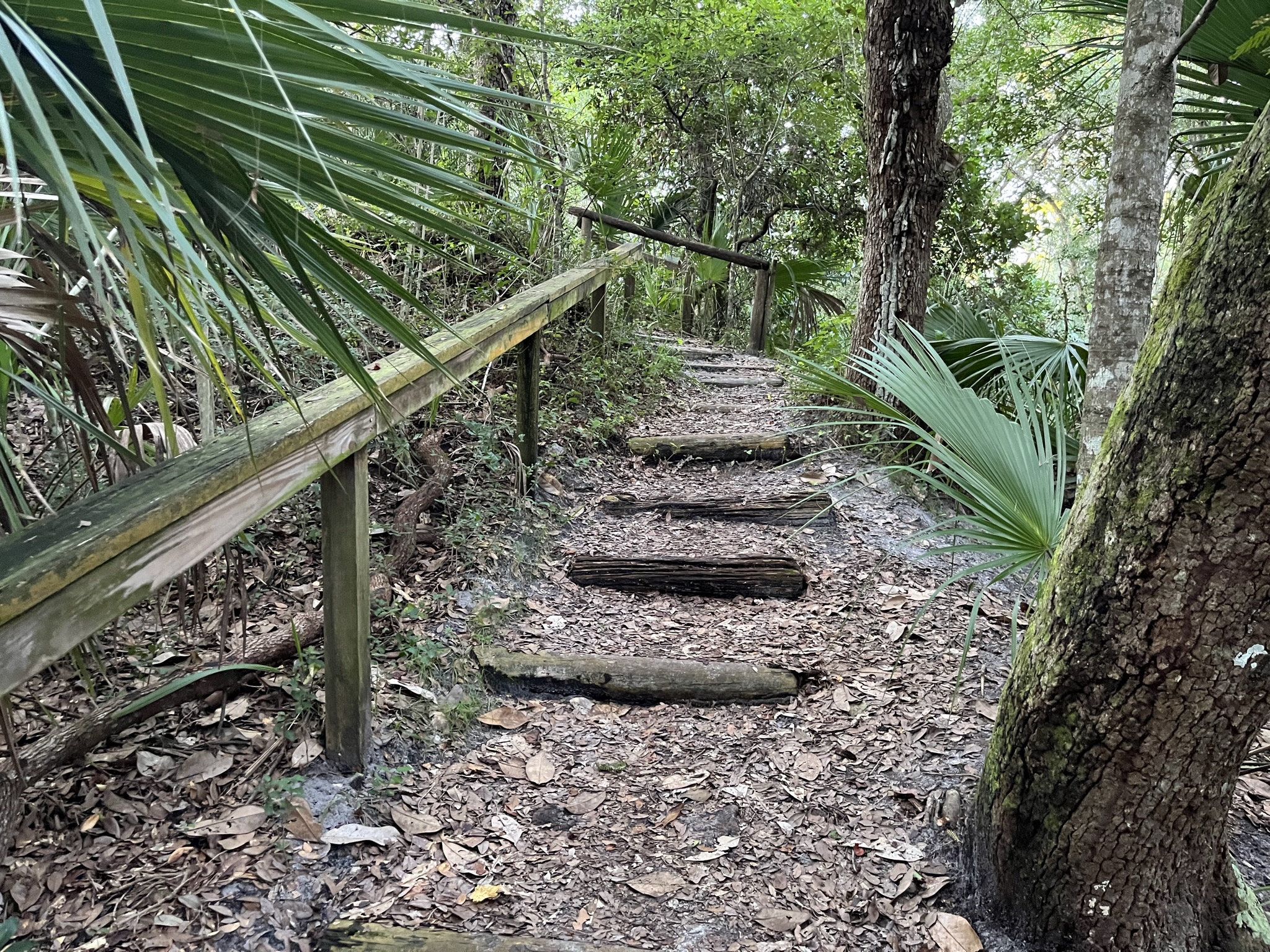 St. Augustine Florida Walking Trail at Anastasia State Park